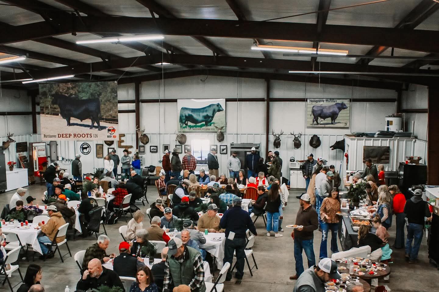 Cowboy Logic Bull Sale 2025 — Indoor gathering